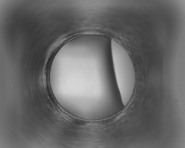 X0000062850294200601130928