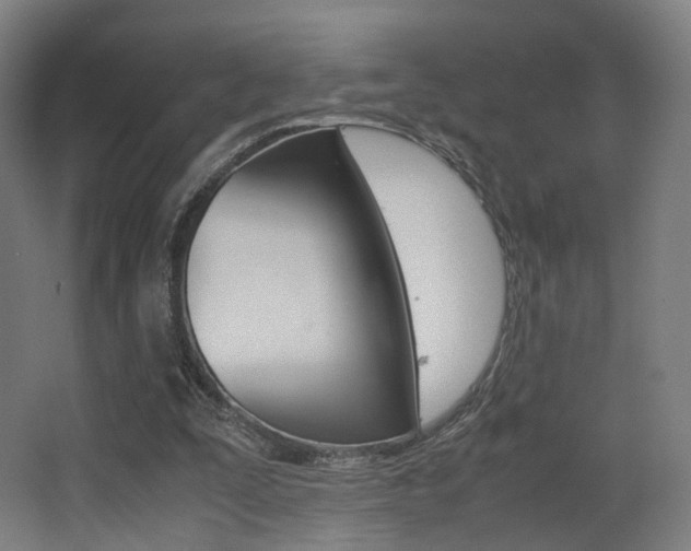 X0000062850295200601130928