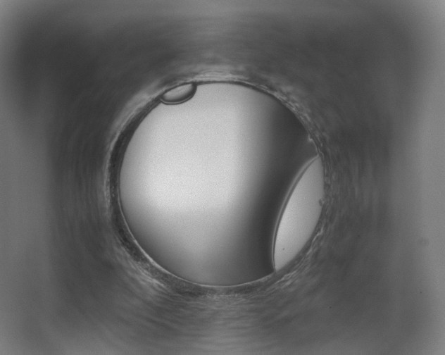 X0000062850296200601130928