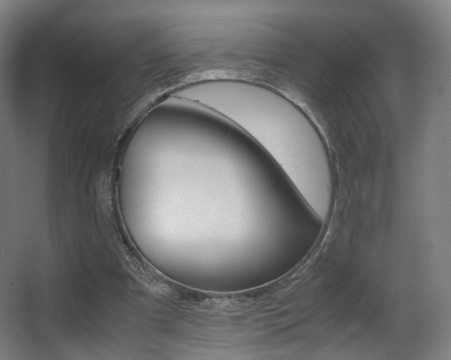 X0000062850297200601130928