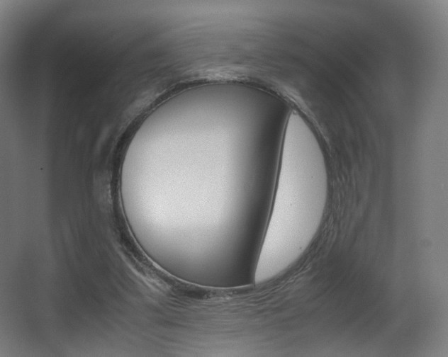 X0000062850299200601130928