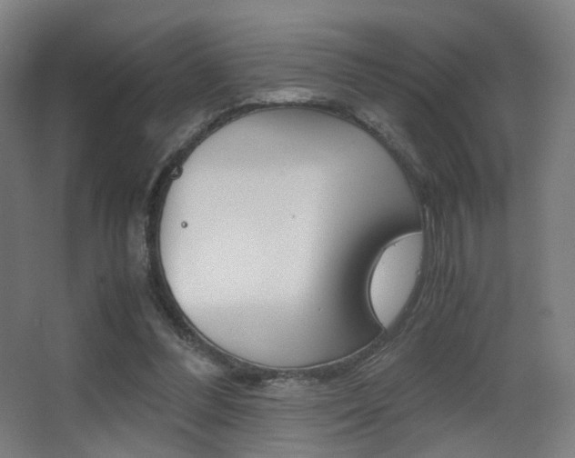 X0000062850300200601130928