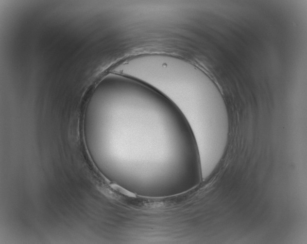 X0000062850301200601130928