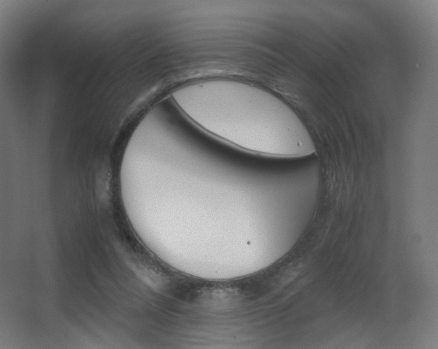 X0000062850304200601130928