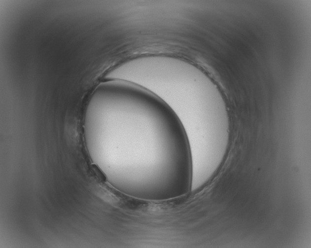 X0000062850305200601130928