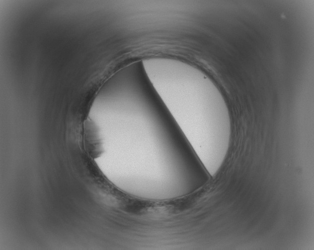 X0000062850307200601130928