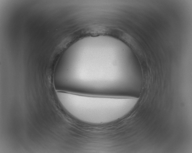 X0000062850309200601130928