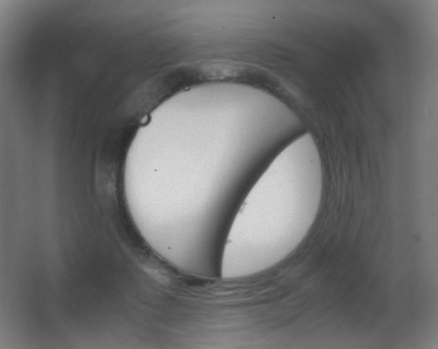 X0000062850315200601130928