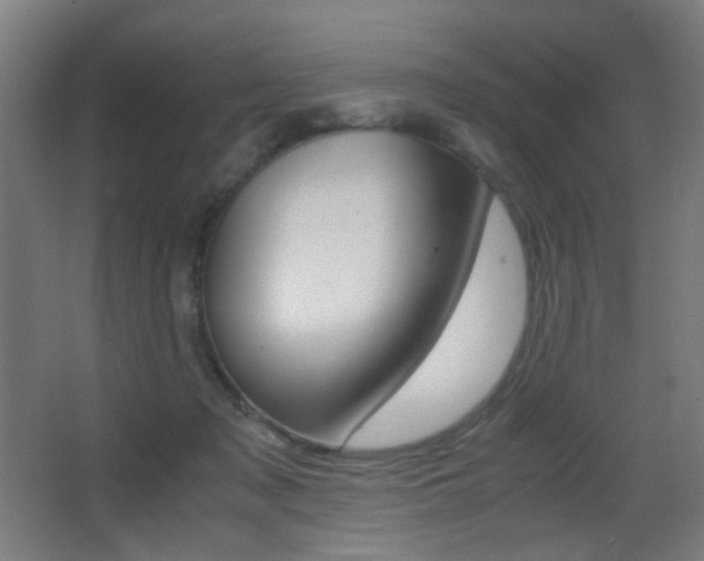 X0000062850317200601130928