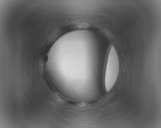 X0000062850321200601130928