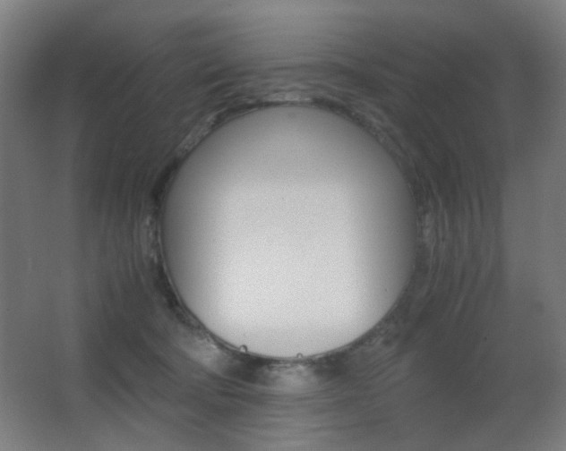 X0000062850322200601130928