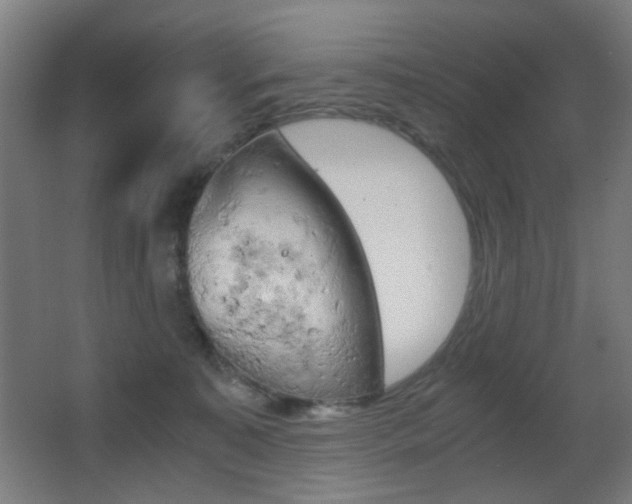 X0000062850323200601130928