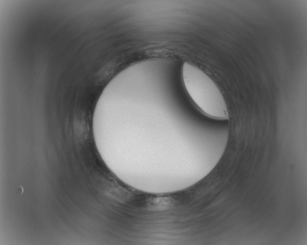 X0000062850324200601130928