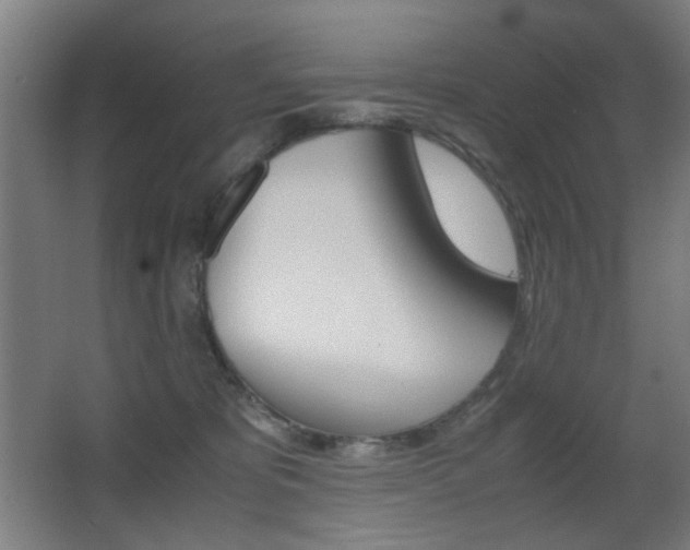 X0000062850325200601130928