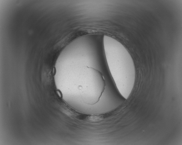 X0000062850327200601130928