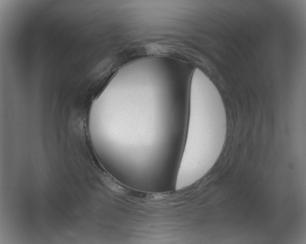 X0000062850329200601130928