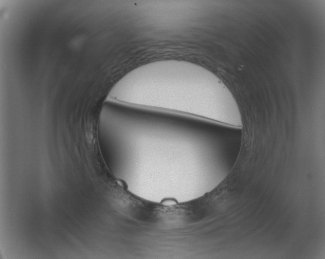 X0000062850331200601130928