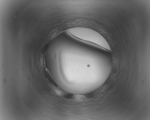 X0000062850333200601130927