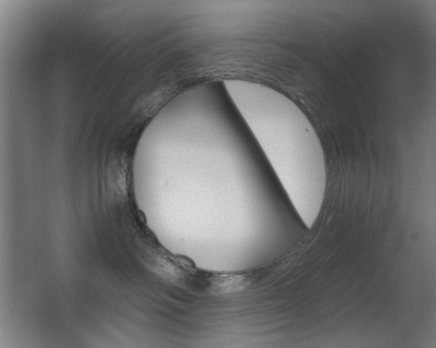 X0000062850334200601130927