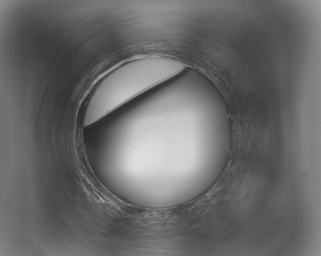 X0000062850338200601130927