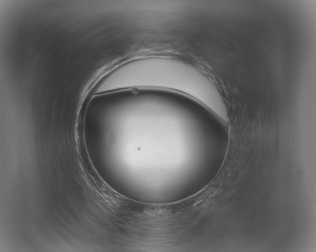 X0000062850340200601130927