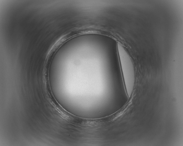 X0000062850341200601130927