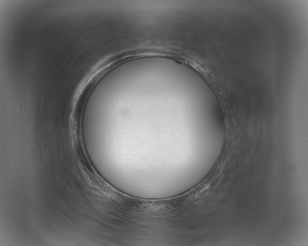 X0000062850343200601130927