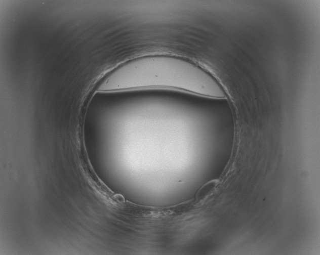 X0000062850345200601130927