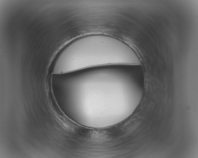 X0000062850346200601130927