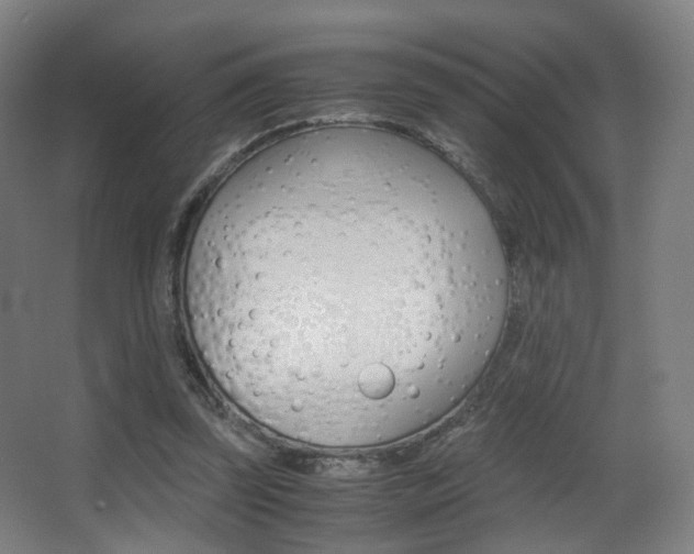 X0000062850347200601130927