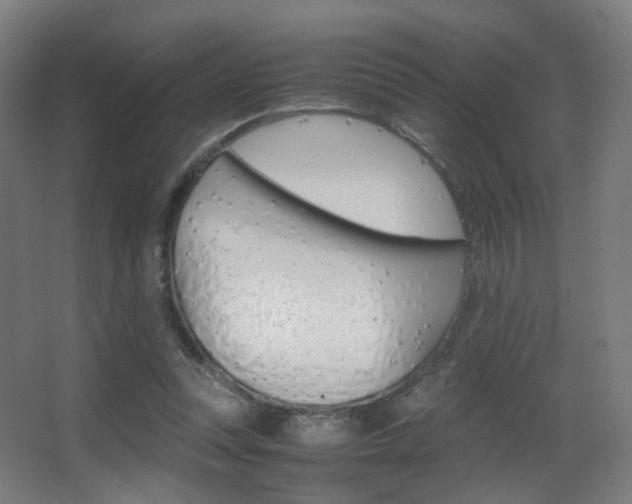 X0000062850351200601130927