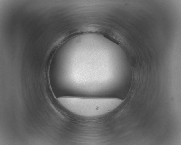 X0000062850352200601130927