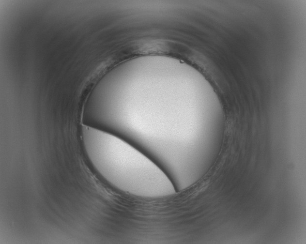 X0000062850353200601130927