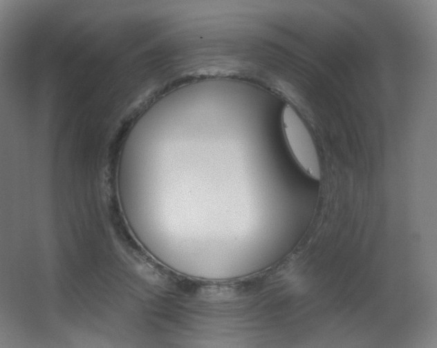 X0000062850354200601130927