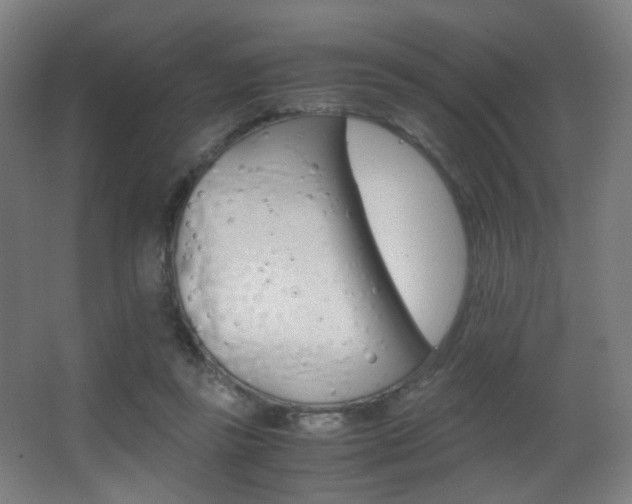 X0000062850355200601130927