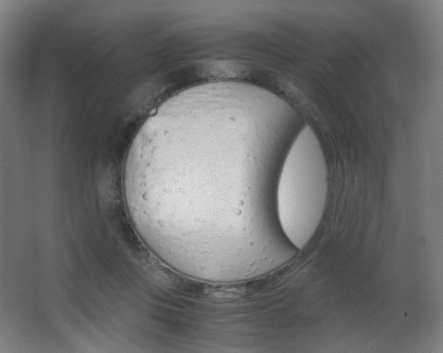 X0000062850359200601130927