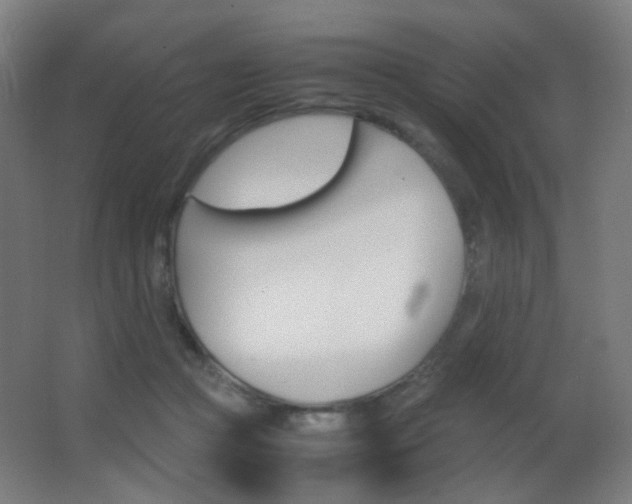 X0000062850361200601130927