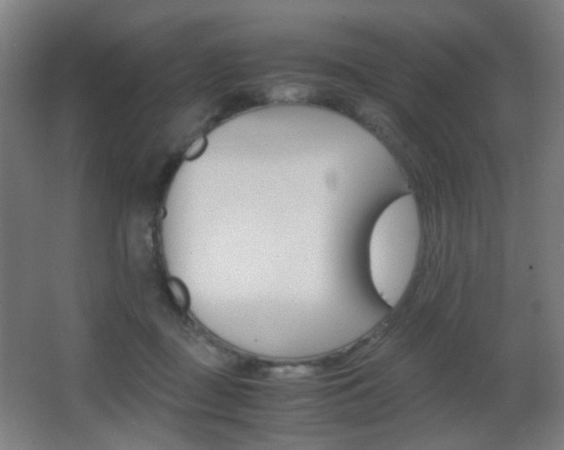 X0000062850363200601130927