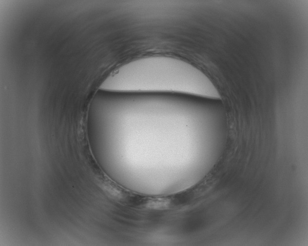 X0000062850369200601130927