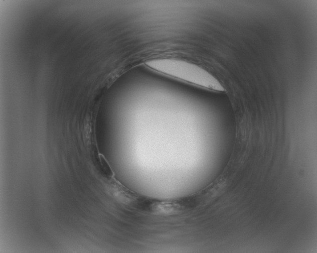 X0000062850372200601130927