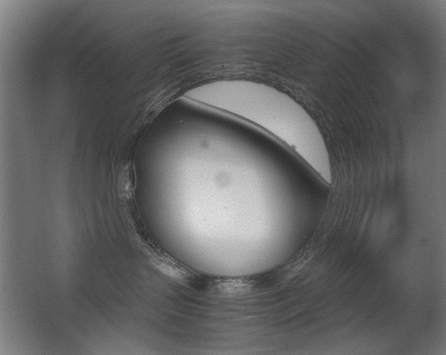 X0000062850383200601130927