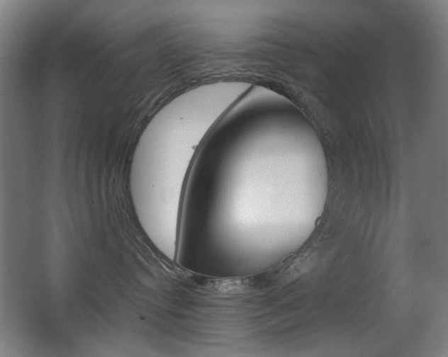 X0000062850384200601130927