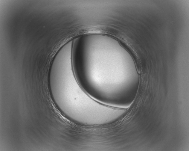 X0000062850385200601130927