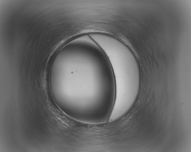 X0000062850387200601130926