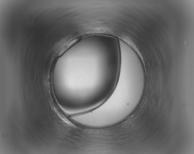 X0000062850389200601130926