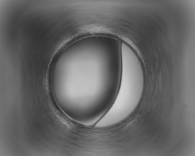 X0000062850391200601130926