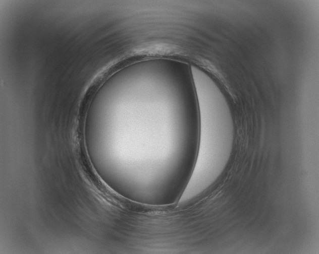 X0000062850392200601130926