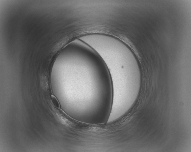 X0000062850393200601130926