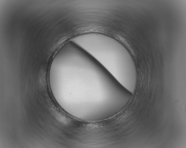 X0000062850394200601130926