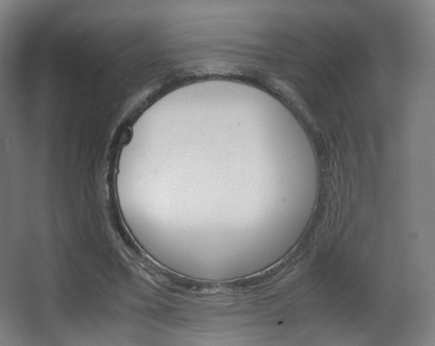 X0000062850395200601130926